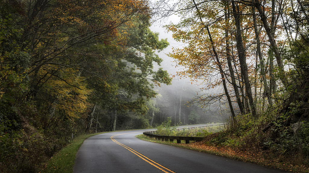 Driving the Parkway