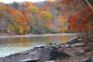 Autumn And All It...
