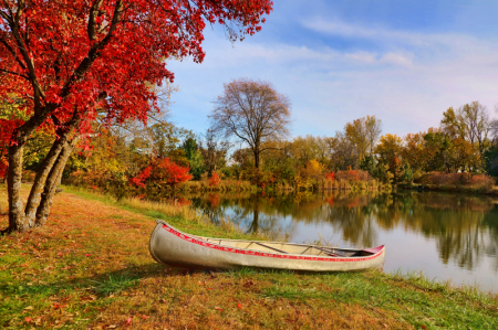 Canoe at Schramm