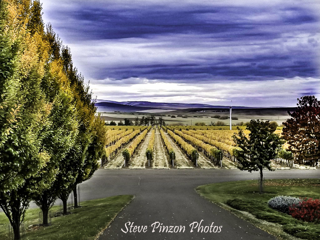 Garrison Creek Winery - ID: 15763367 © Steve Pinzon