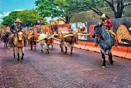 Texas Longhorns