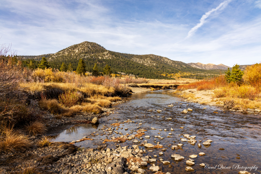 Beautiful Nevada