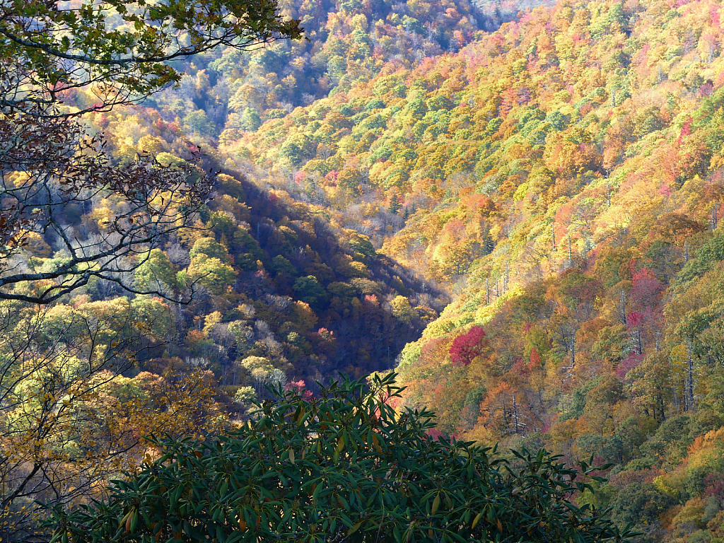 View From the Blue Ridge Pkwy