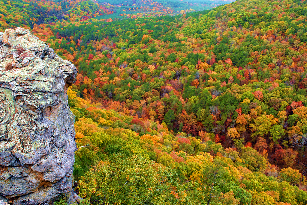 Colors of Arkansas