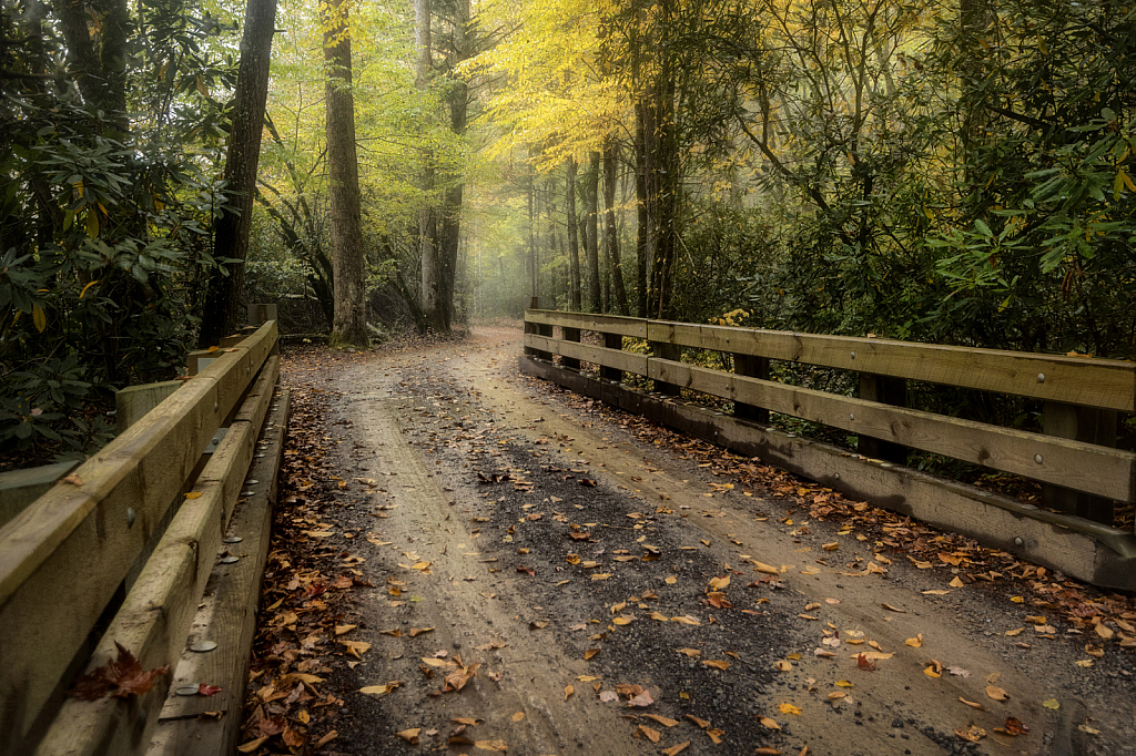 Rainy Cataloochee