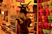 Bull in a ..........