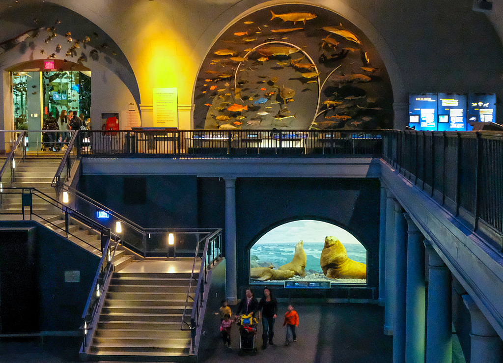 Explore - American Museum of Natural History 