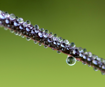 Super Wet Grass