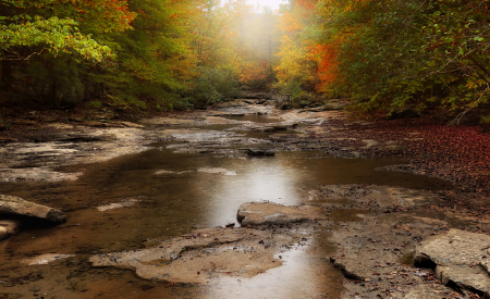 Jellico Creek (II)