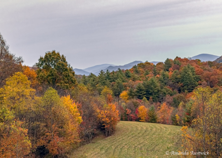 Autumn Mountain View