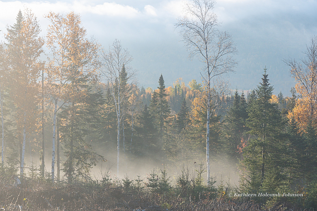 The Beauty of Early Morning Fog in Fall!