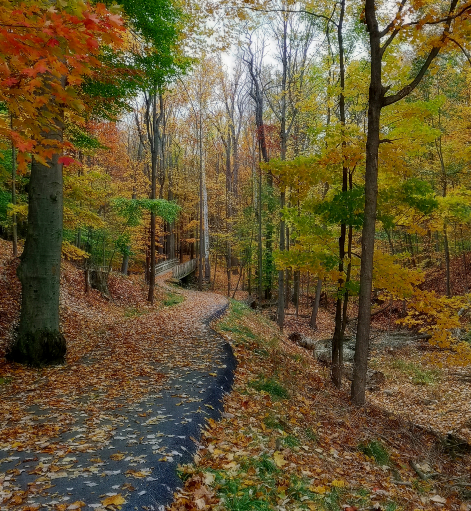 Autumn Path