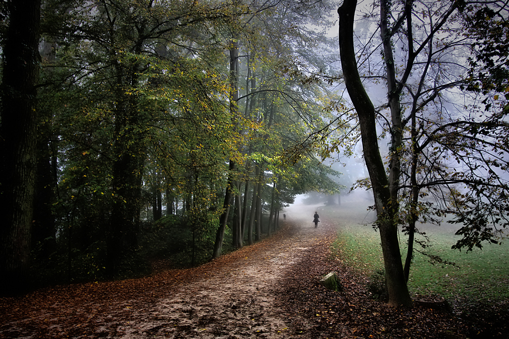 Autumn Jog