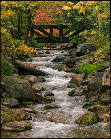 ~ Fall In The Country ~