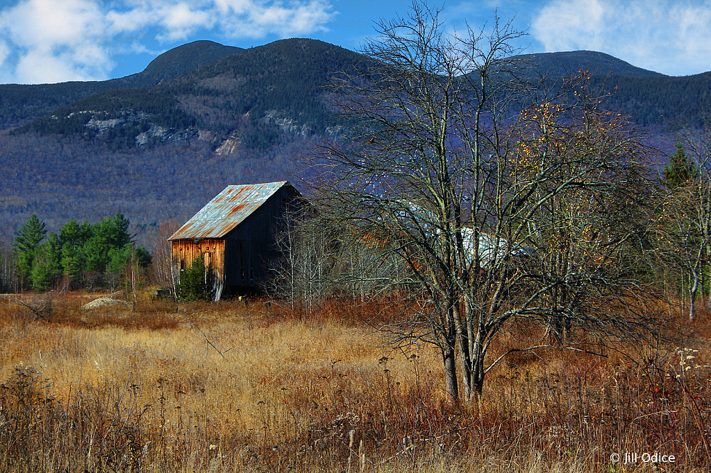 Abandoned Homestead