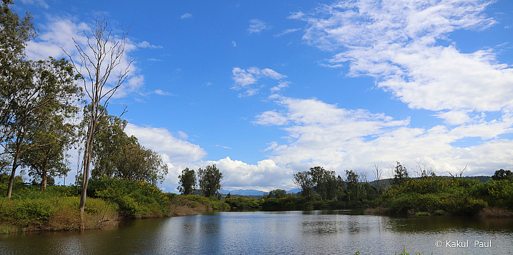 Blues & Greens!