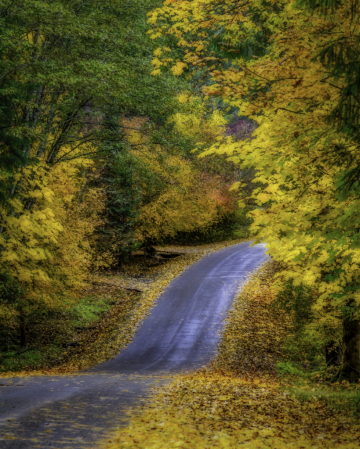 The Road To Autumn  1123