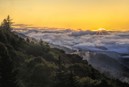 Smokies Sunrise  