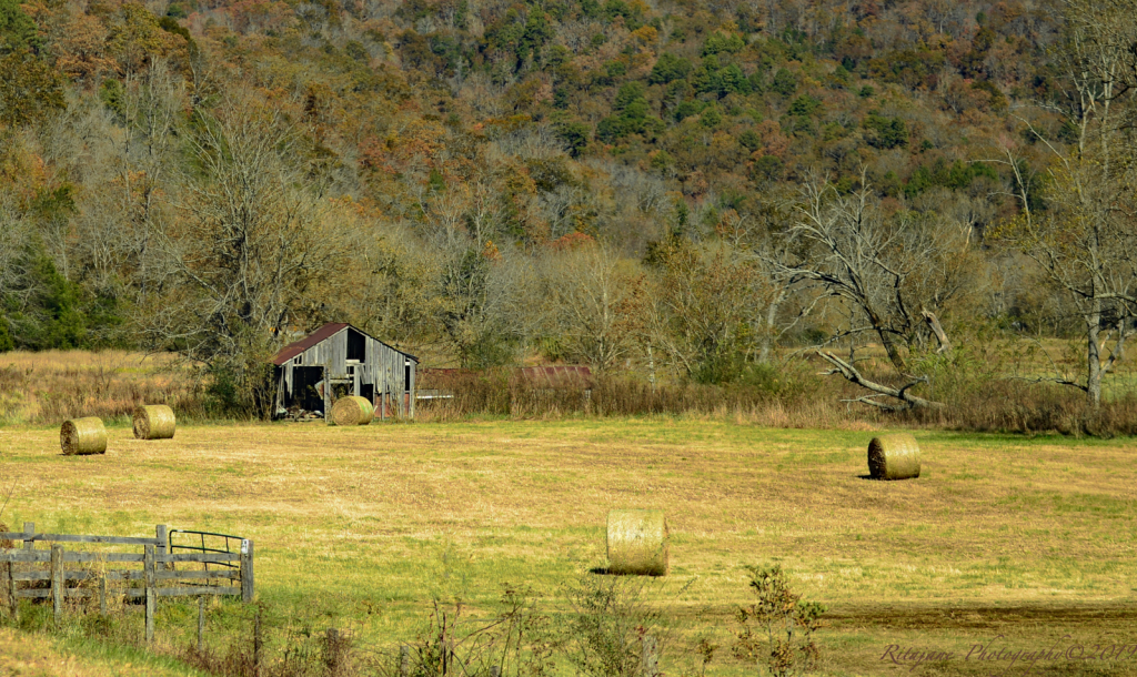 Boxley Valley, Home of the Valley Elk....