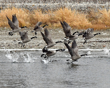 Taking Off!