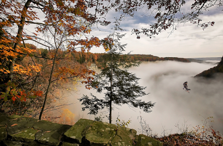 Letchworth Awakens