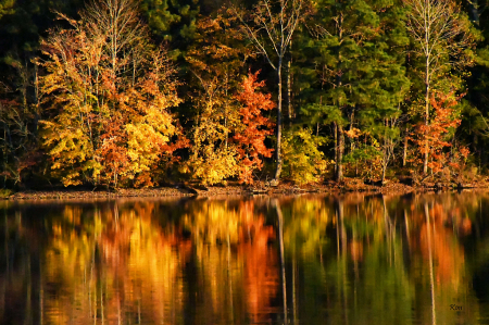 Golden Hour Reflection