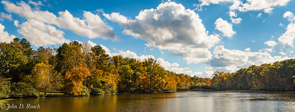 Fall at Echo Park - ID: 15768213 © John D. Roach