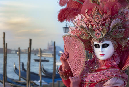The Gondolas of Venice with Beauty