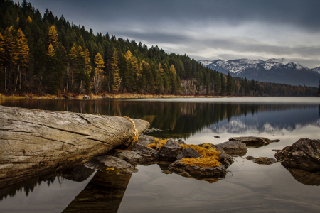 Swan River in Autumn