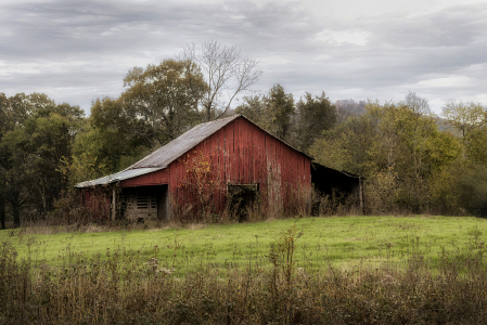 Down on the Farm