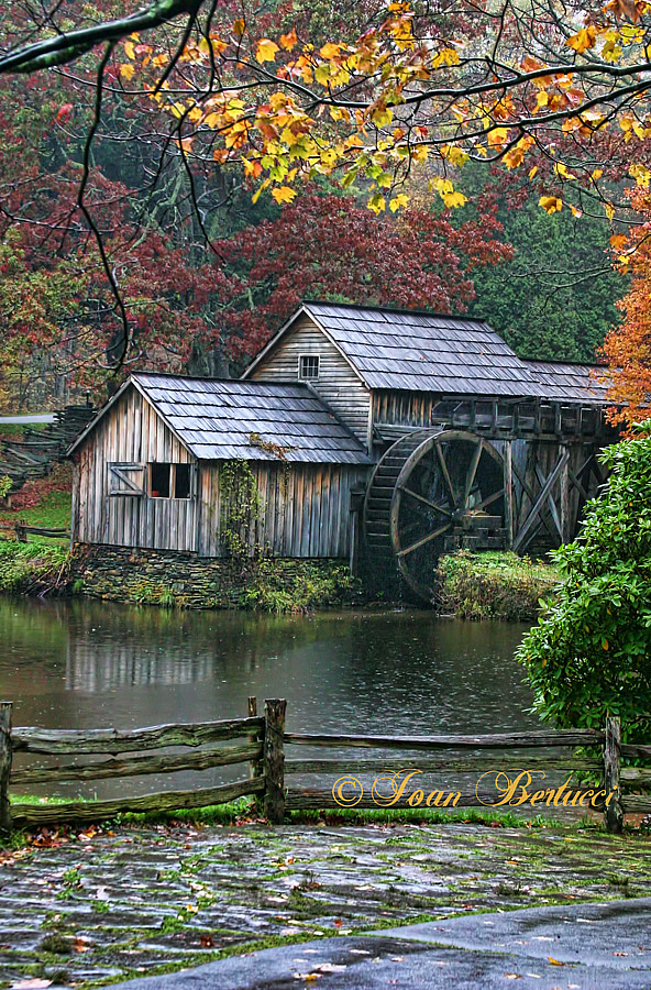 Rain at the Mill