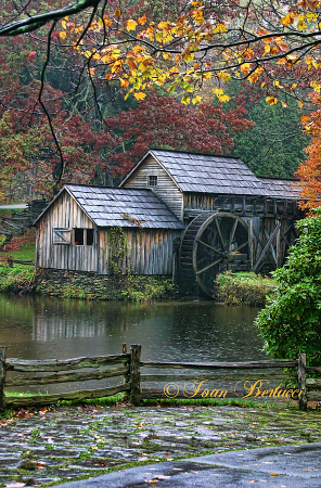 Rain at the Mill