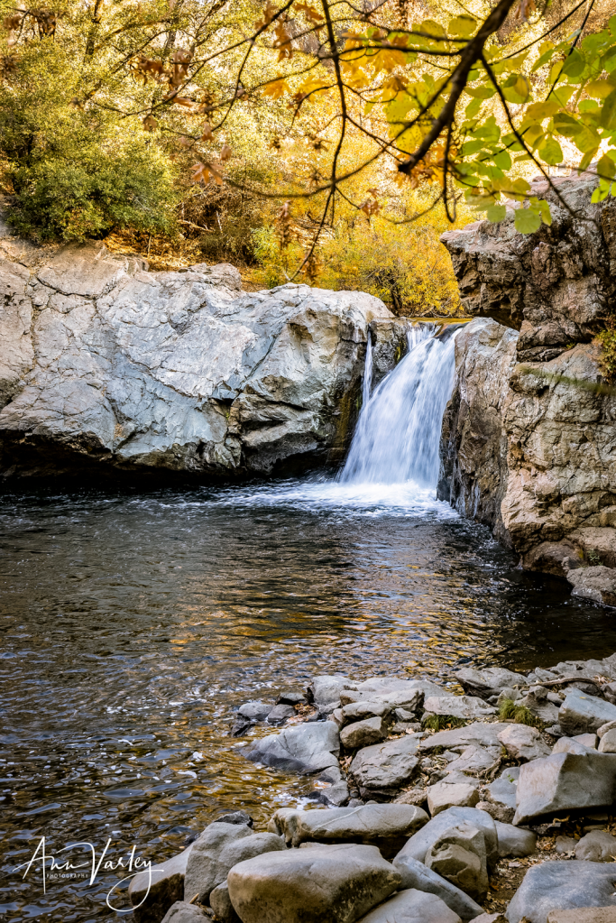 Autumn Falls