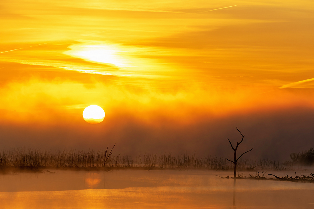 Morning's Mist