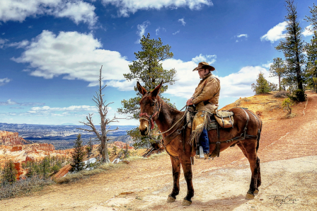 Bryce Canyon Wrangler