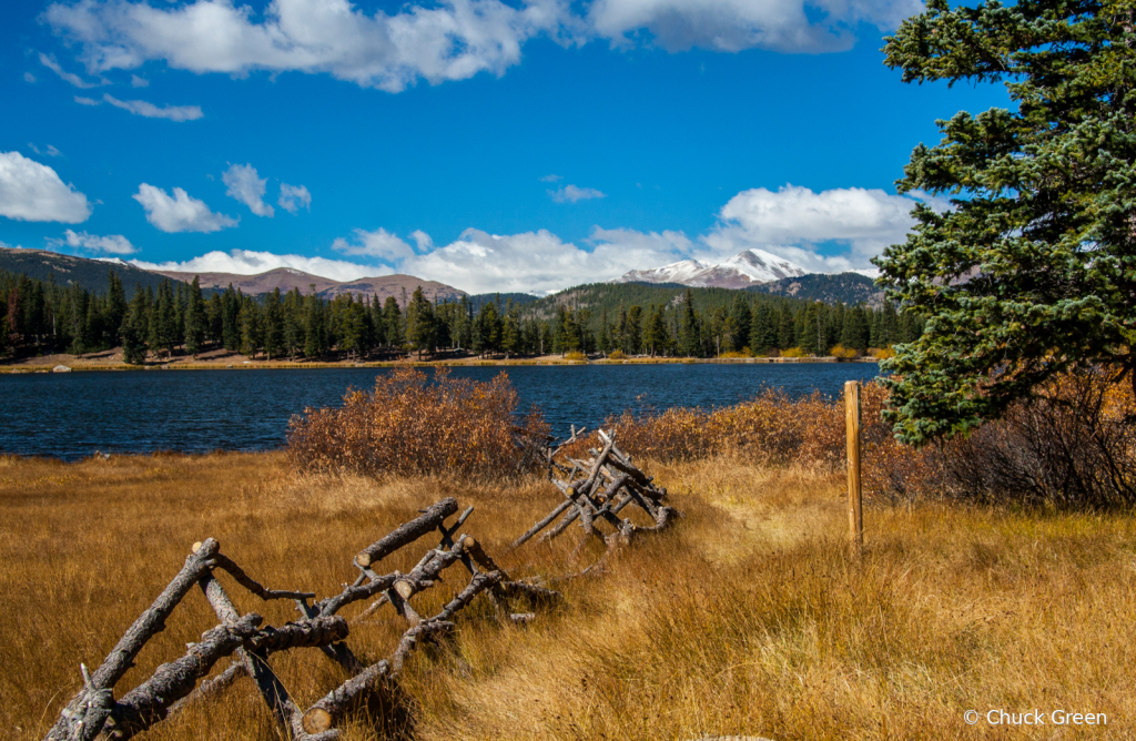 Fence Line