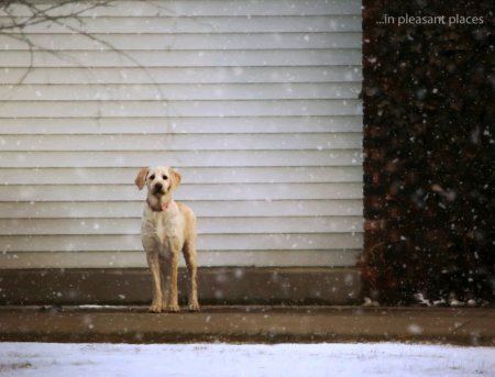 Snow Worries