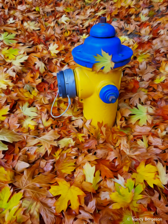 Surrounded by Leaves