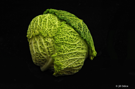 Savoy Cabbage