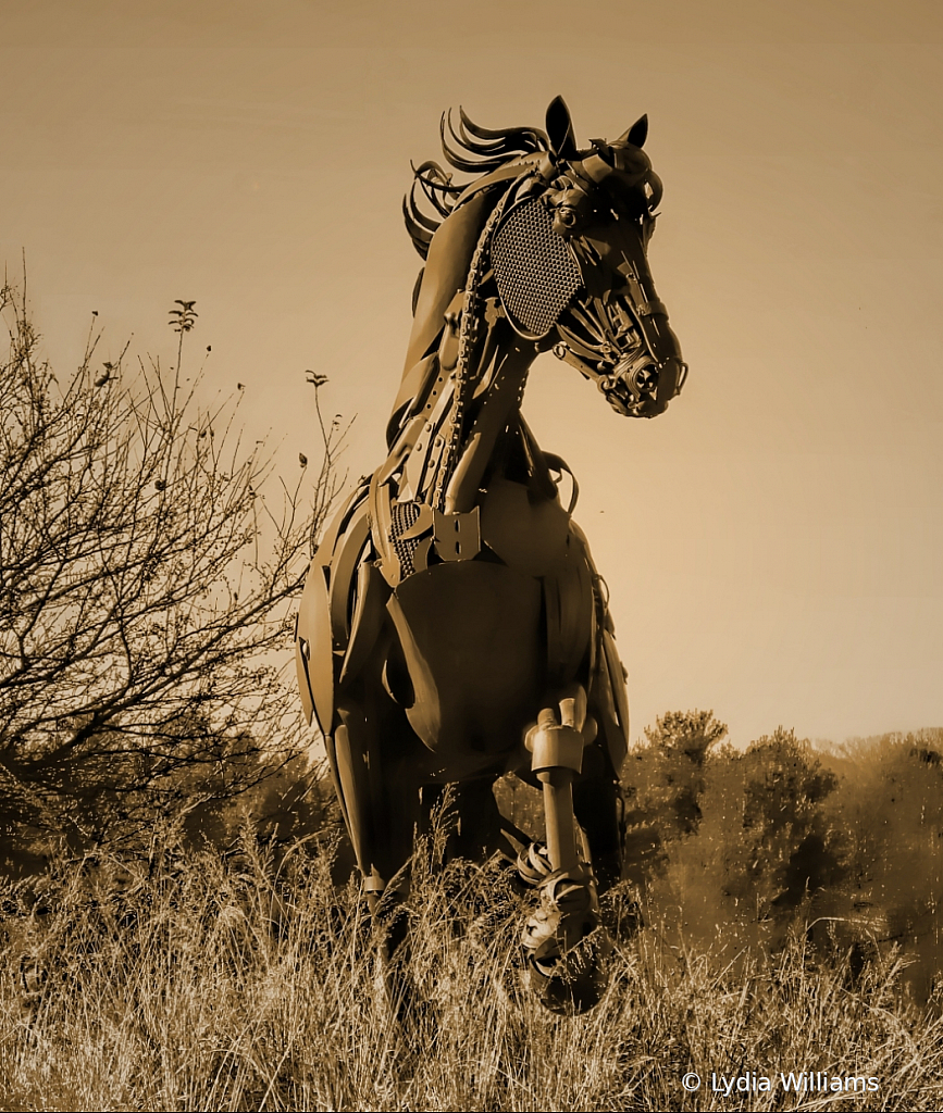 Symbol of Excellence - ID: 15772972 © Lydia Williams
