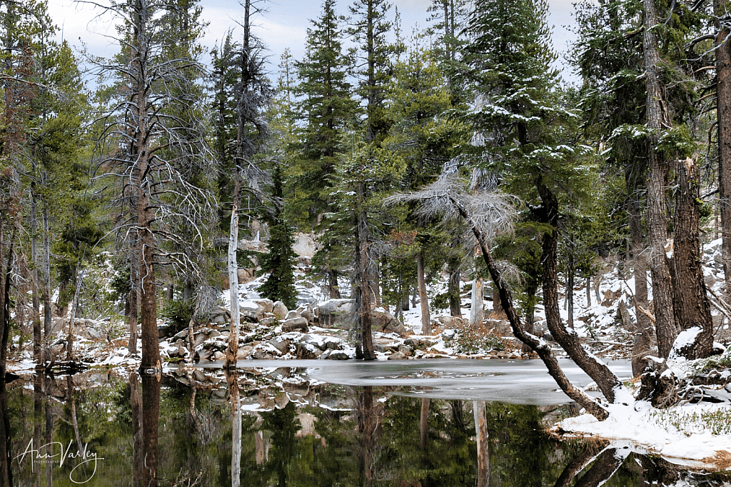 Early Sierra Winter