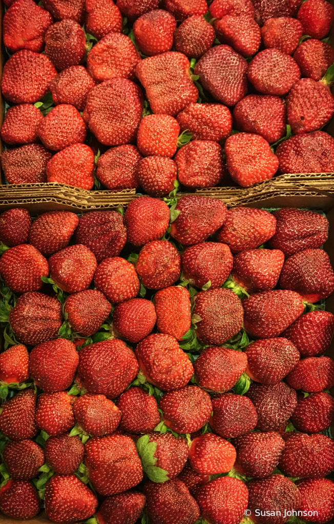 Perfect Strawberries for the Perfect Jam - ID: 15774261 © Susan Johnson