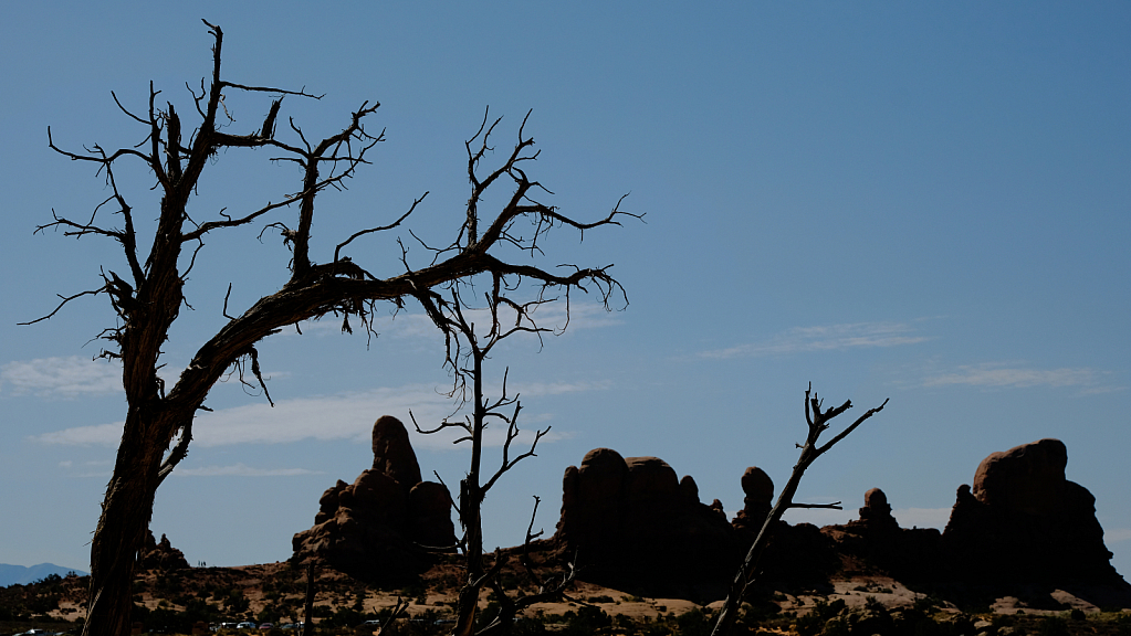 Silhouette against the desert sky