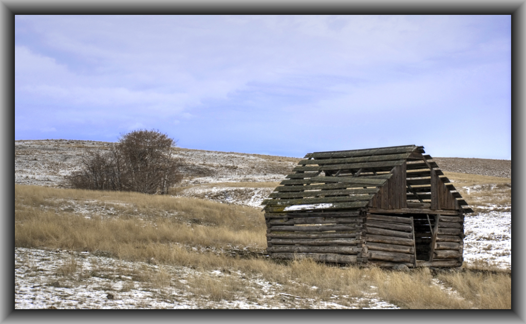 Lone Cabin