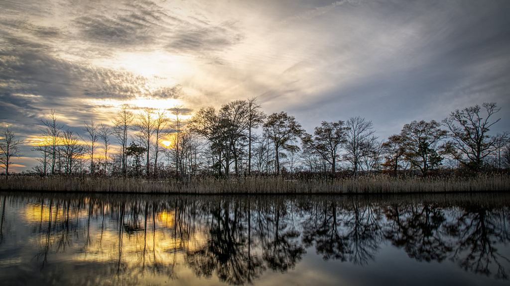 Tuckahoe Wildlife Management Area