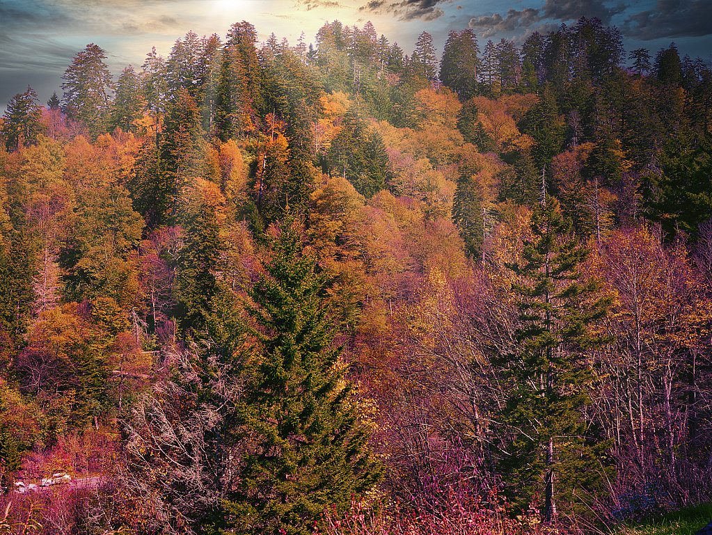 Smokey Mountains - ID: 15775172 © Michael Wehrman