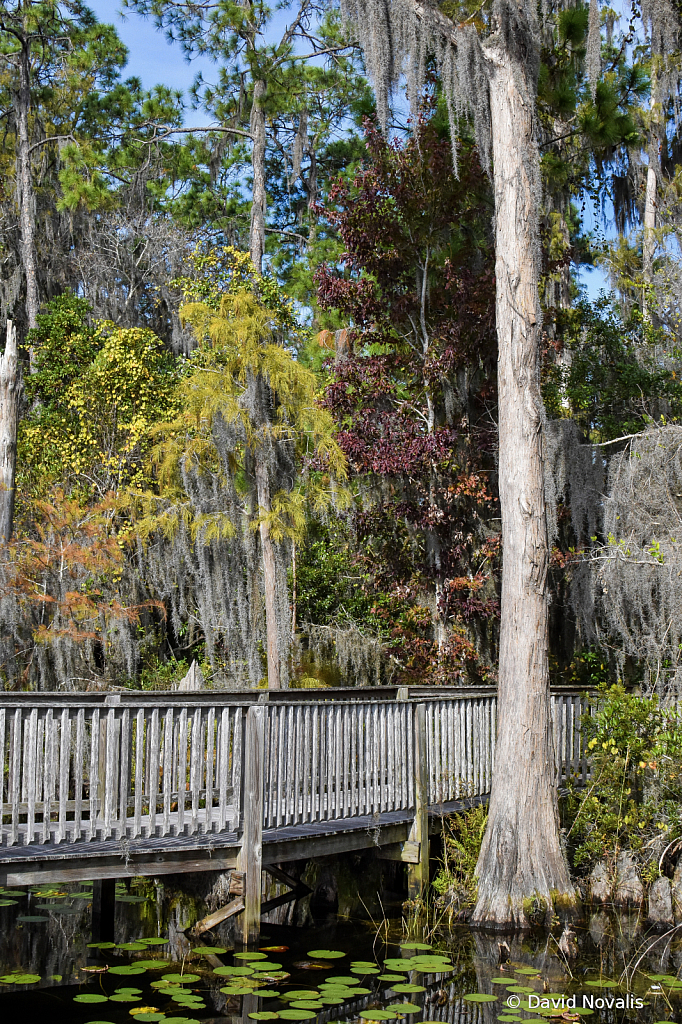 Green Dock Park