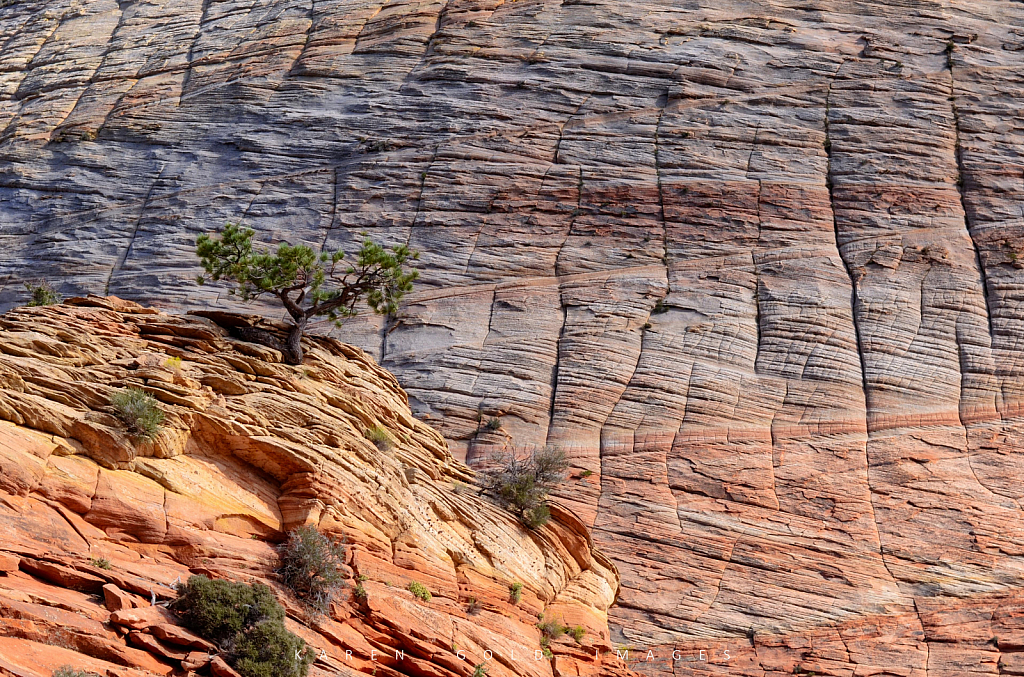 Textures & Colors of Zion