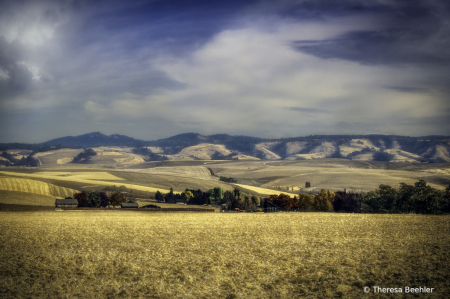 Landscape - Blue Mountains of Walla Walla