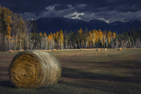 Autumn in the Valley